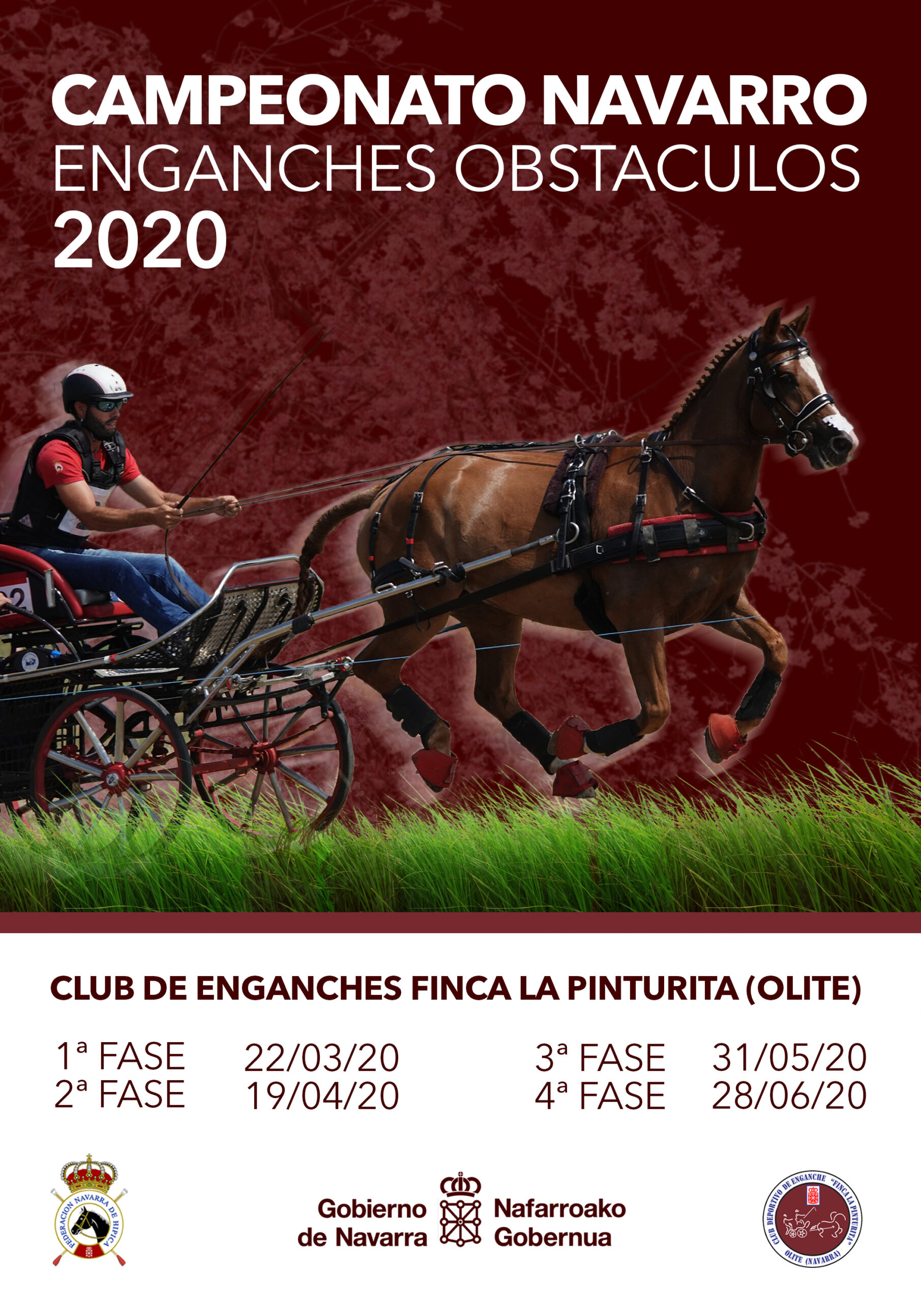 Campeonato Navarro de Enganches obstáculos 2020