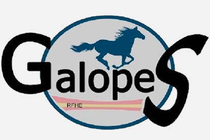 Próxima Convocatoria de exámenes de Galopes el día 31 de julio en el Centro Hípico Añezcar